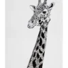 Maxwell & Williams Marini Ferlazzo African Giraffe 50x70cm Tea Towel -Kitchen Essentials Shop 658007380 1 720x928